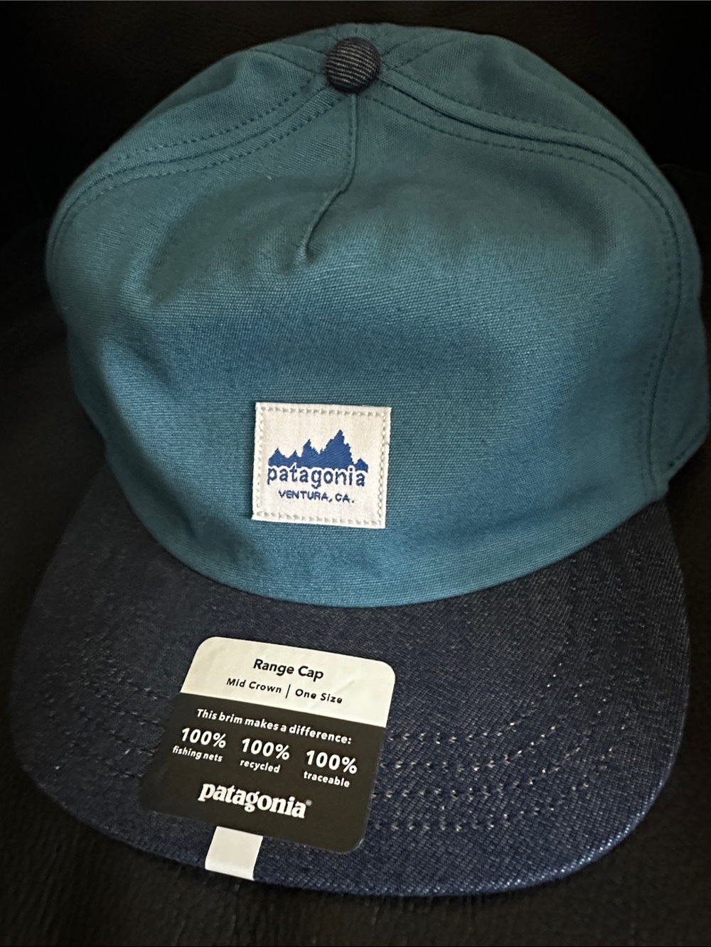 Patagonia Range Cap